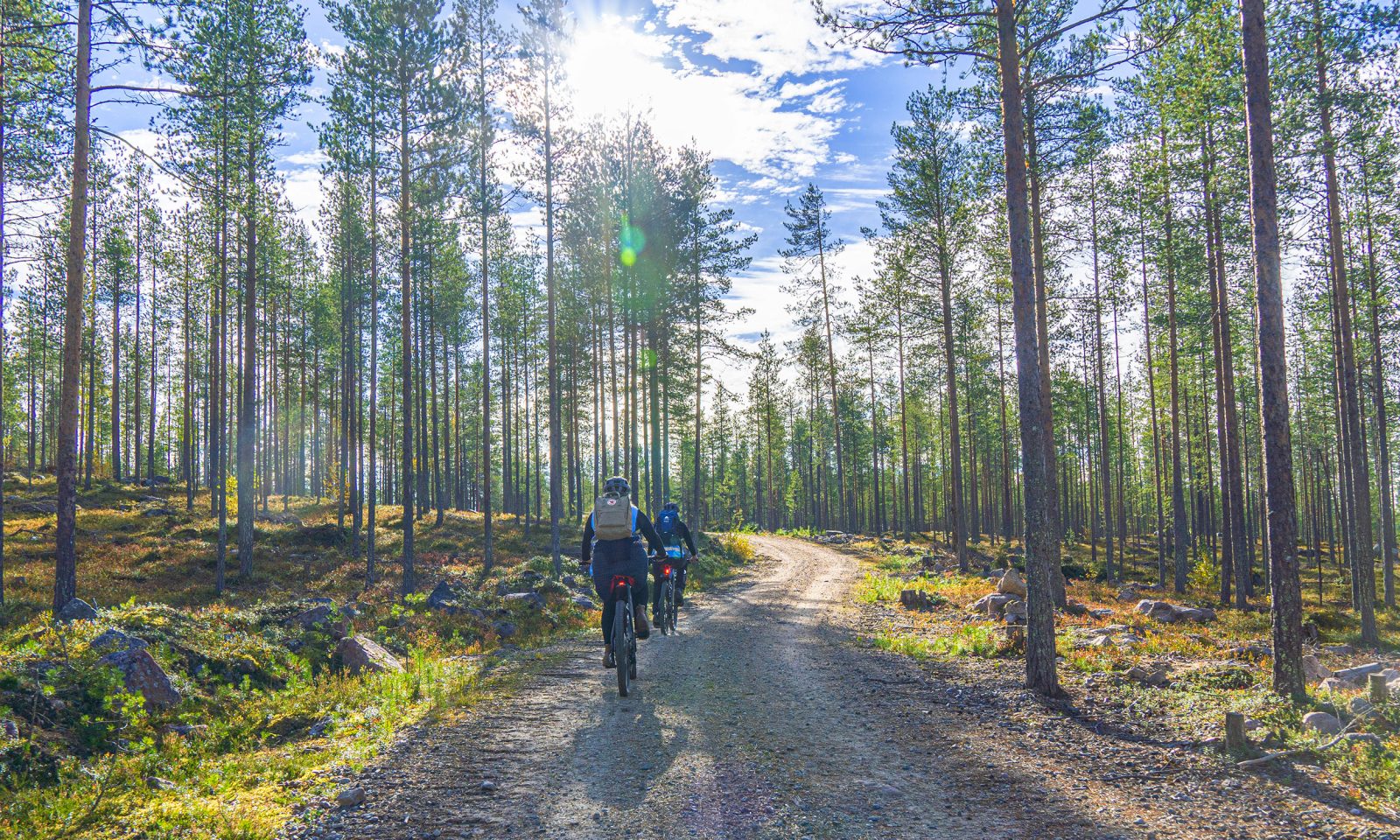 Aktiviteetit Syksyyn Rovaniemi: sähköpyöräily metsässä