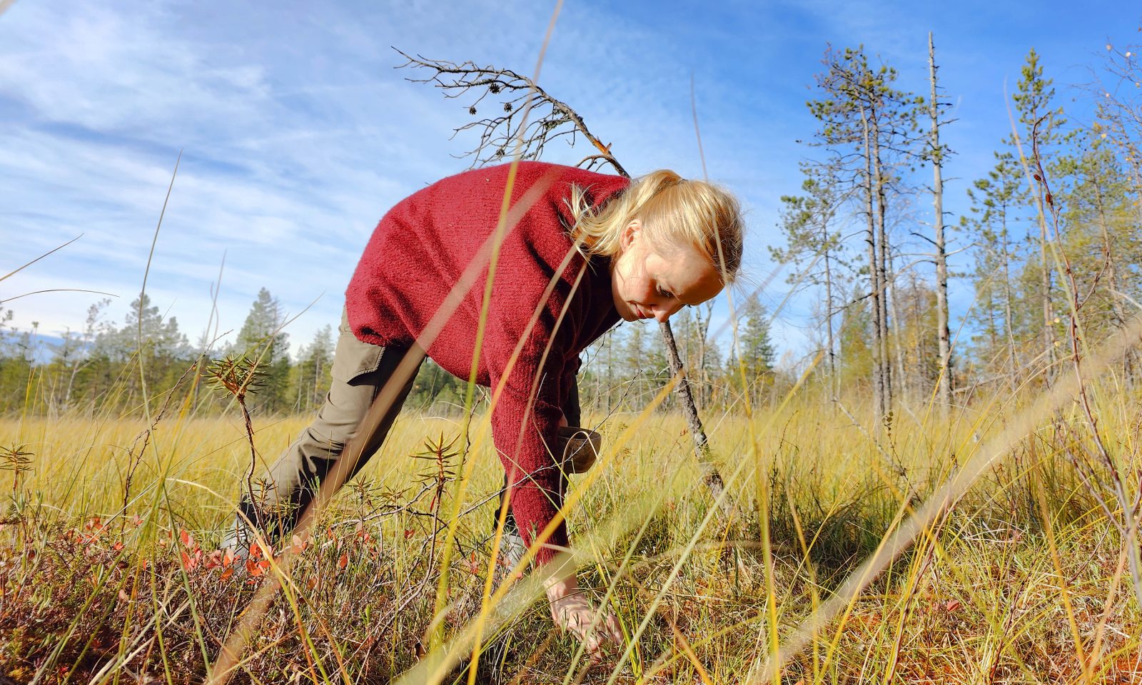 Vierailija poimii karpaloita suolla