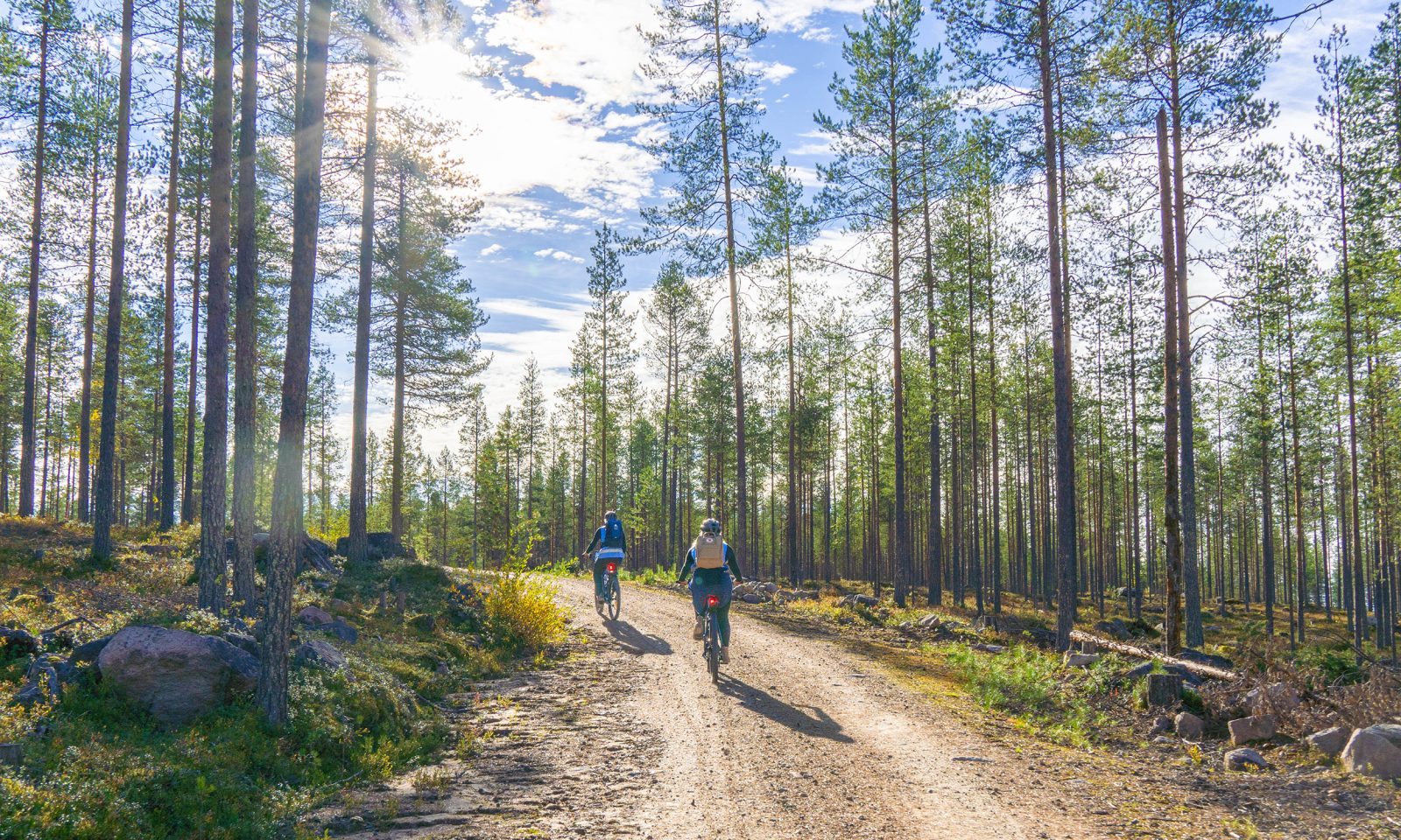 Vierailijat pyöräilevät sähköpyörillä Songan havupuisessa metsässä