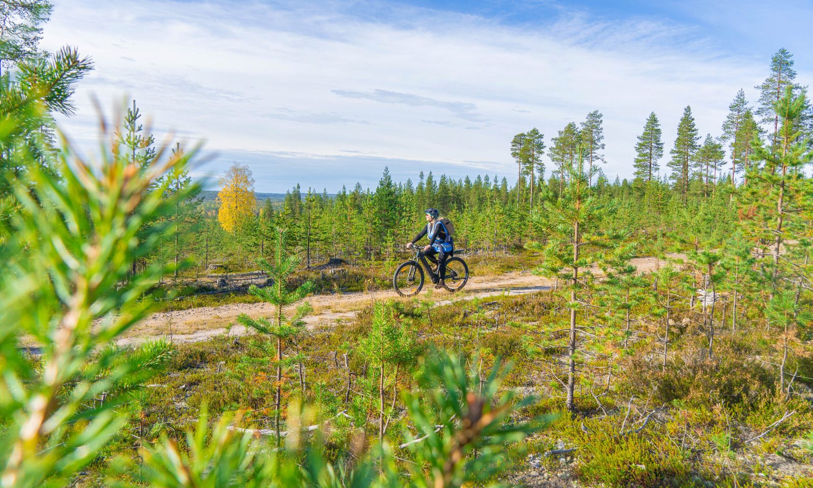 Osallistuja sähköpyöräilee keskellä havupuista aukeaa