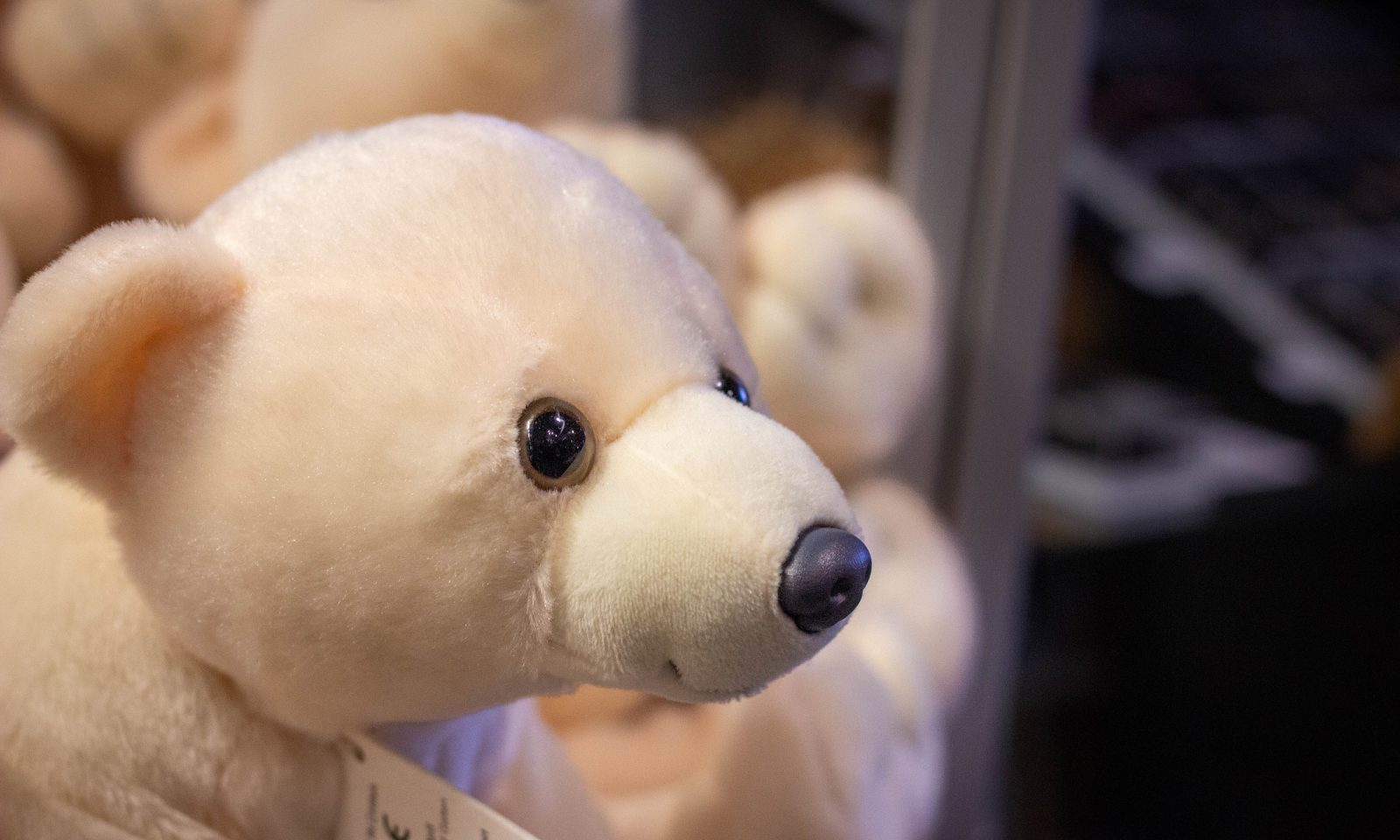 Matkamuistomyymälä: jääkarhupehmolelu