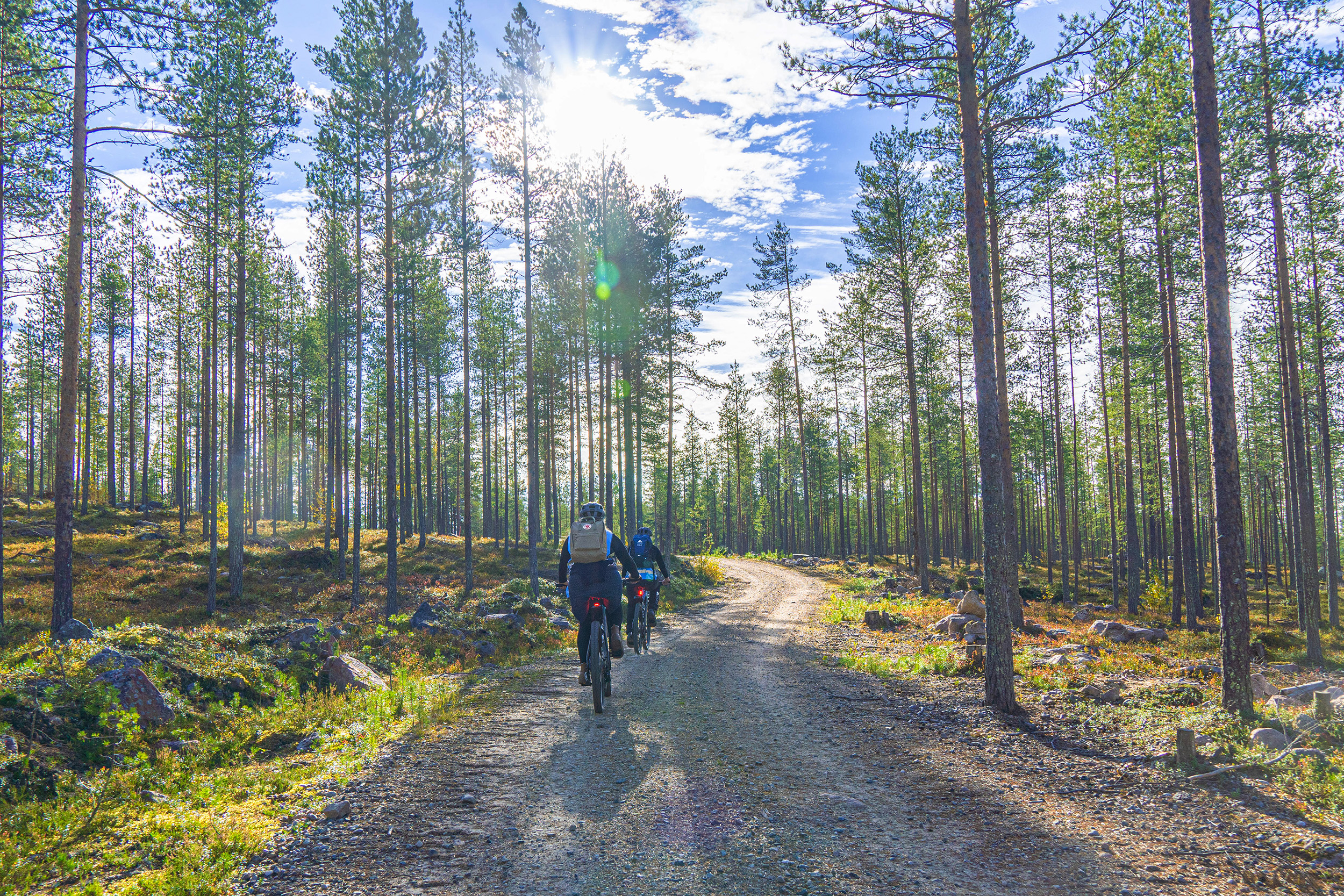 Two people cycling in Finnish forest