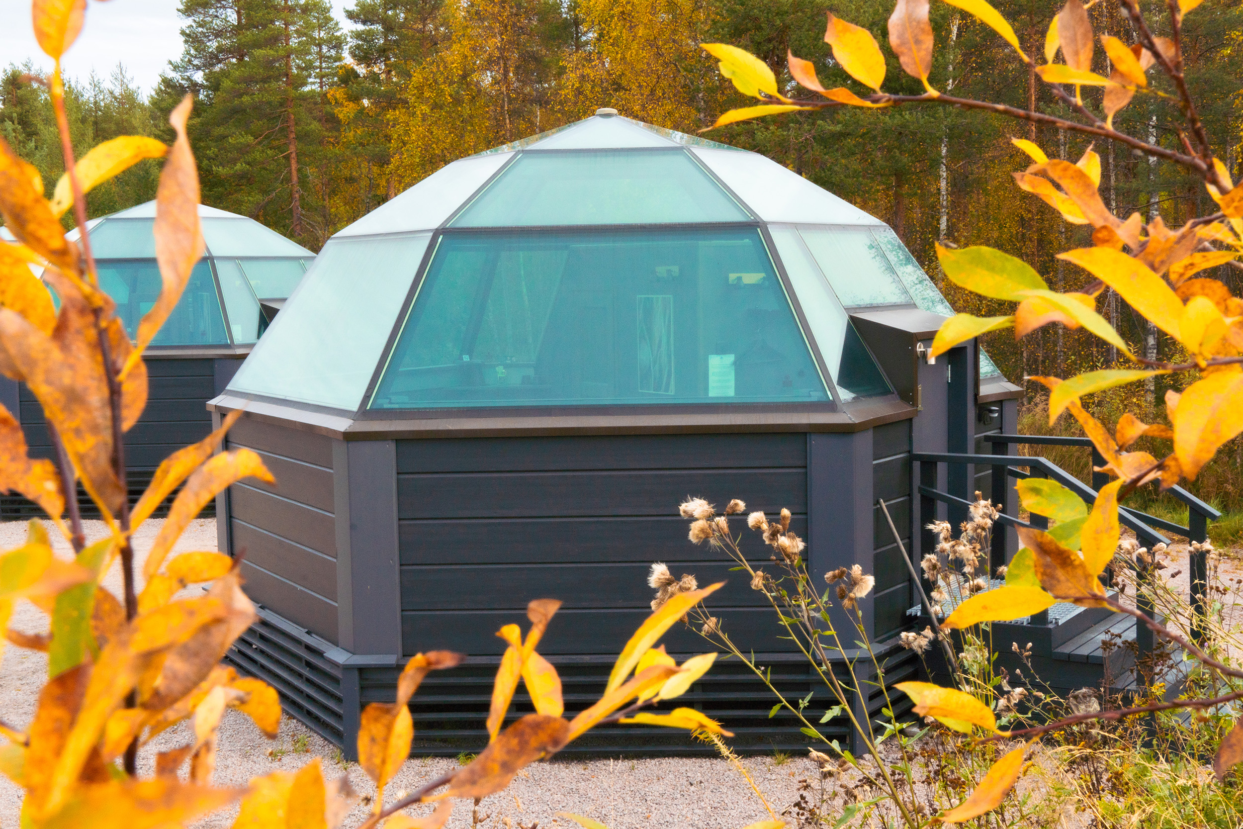 Glass igloo holiday package in Autumn