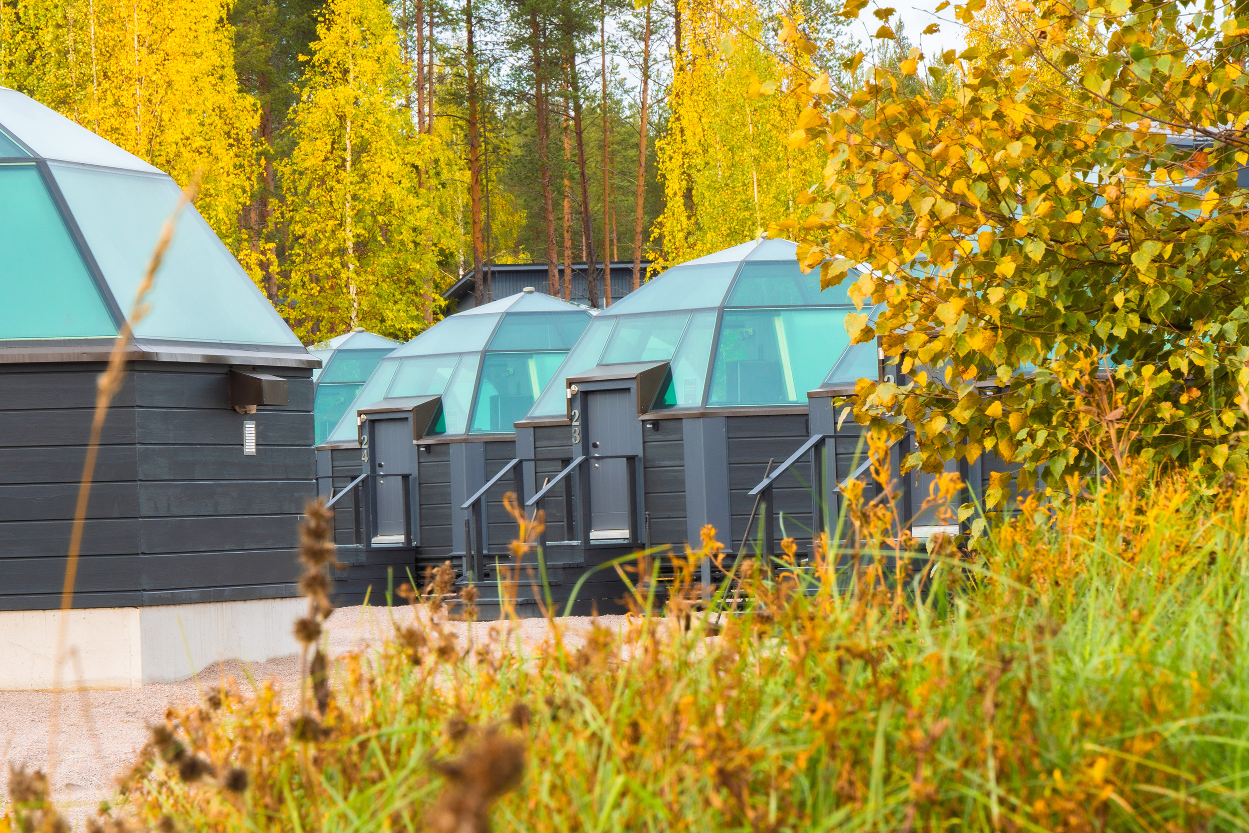 Glass igloos in autumn