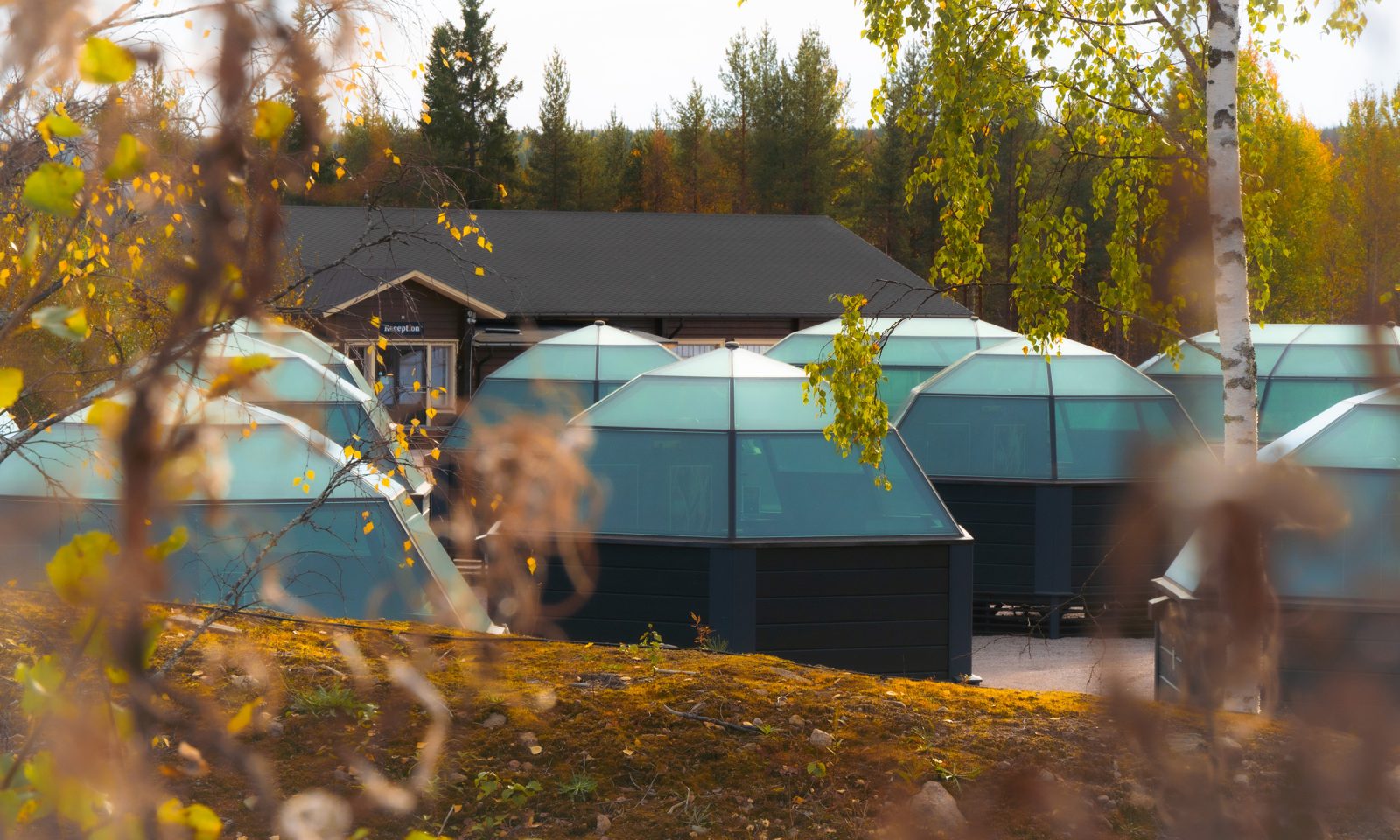 Glass igloos in a autumn glow