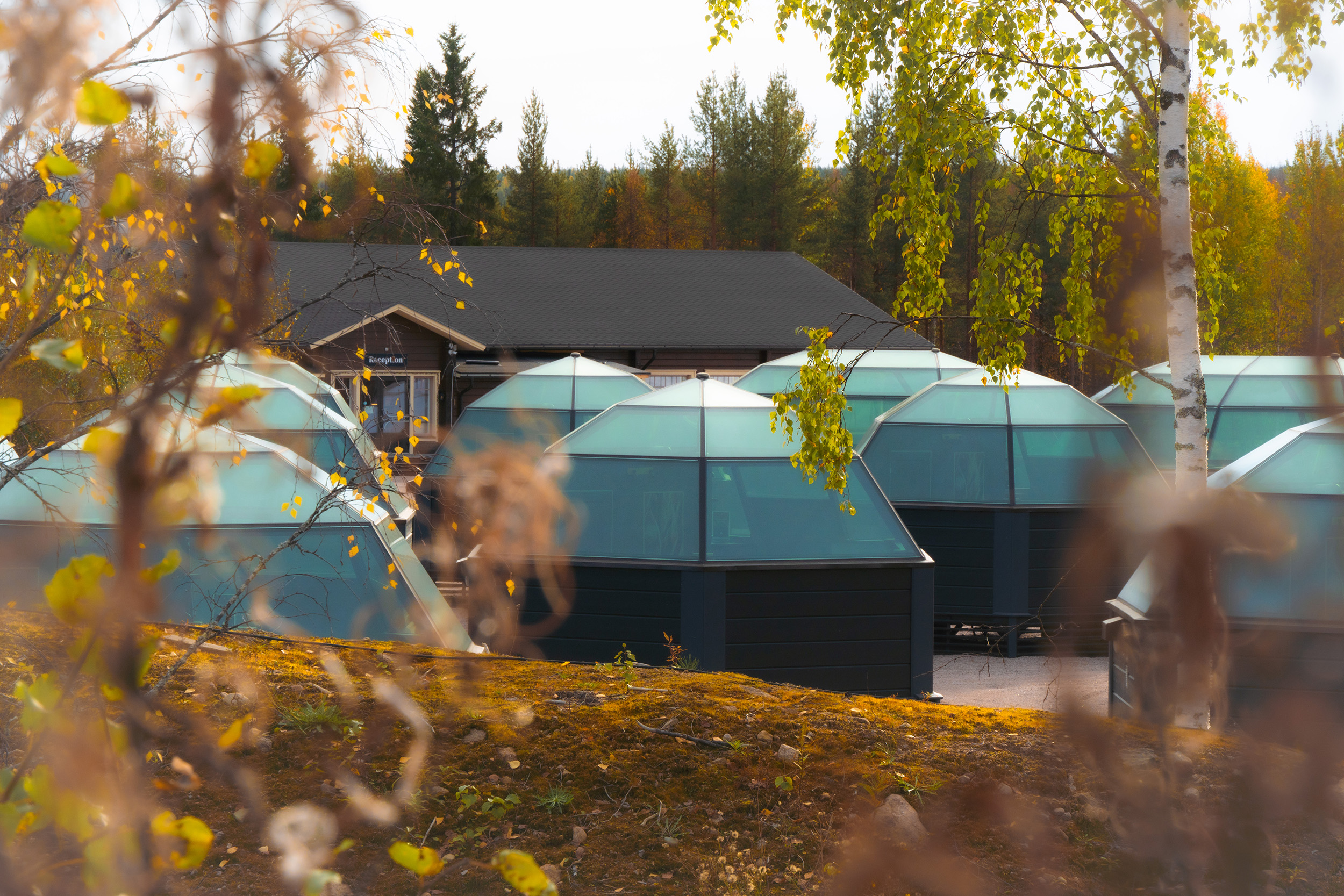 Glass igloos in a autumn glow