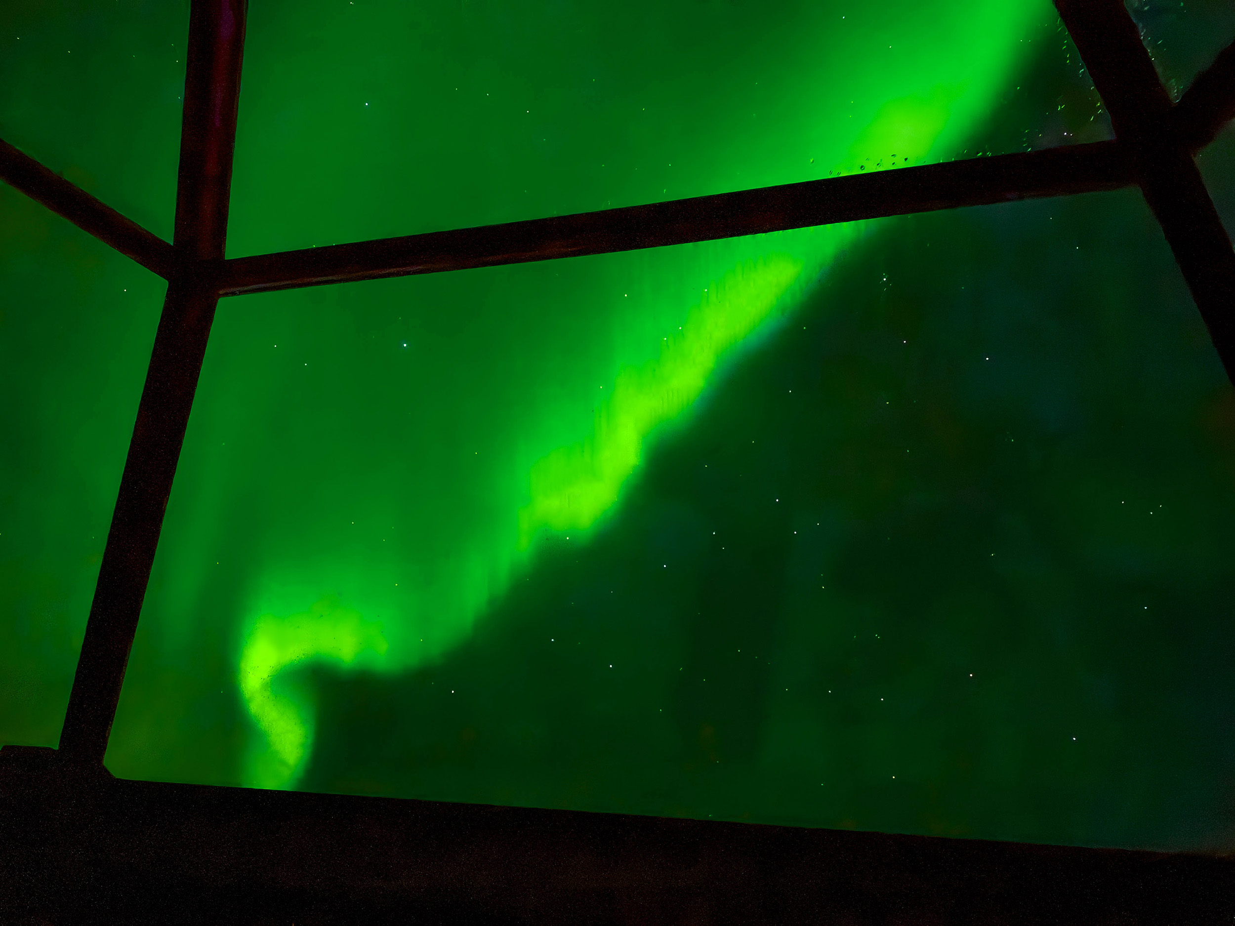 Northern lights seen from Glass igloo