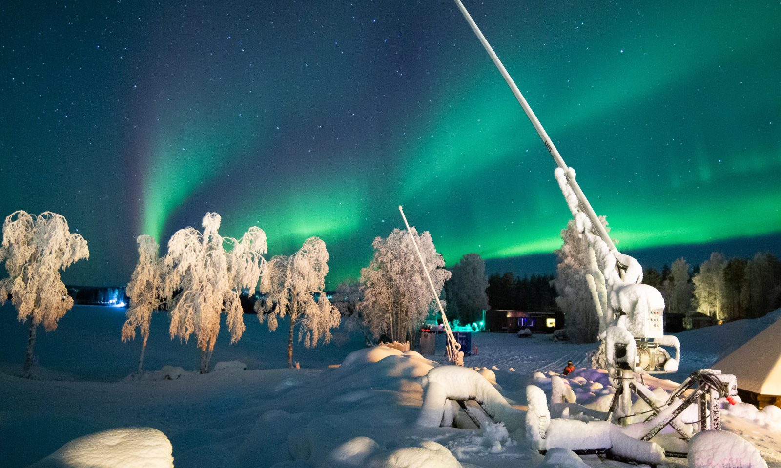 Northern lights and snowy trees
