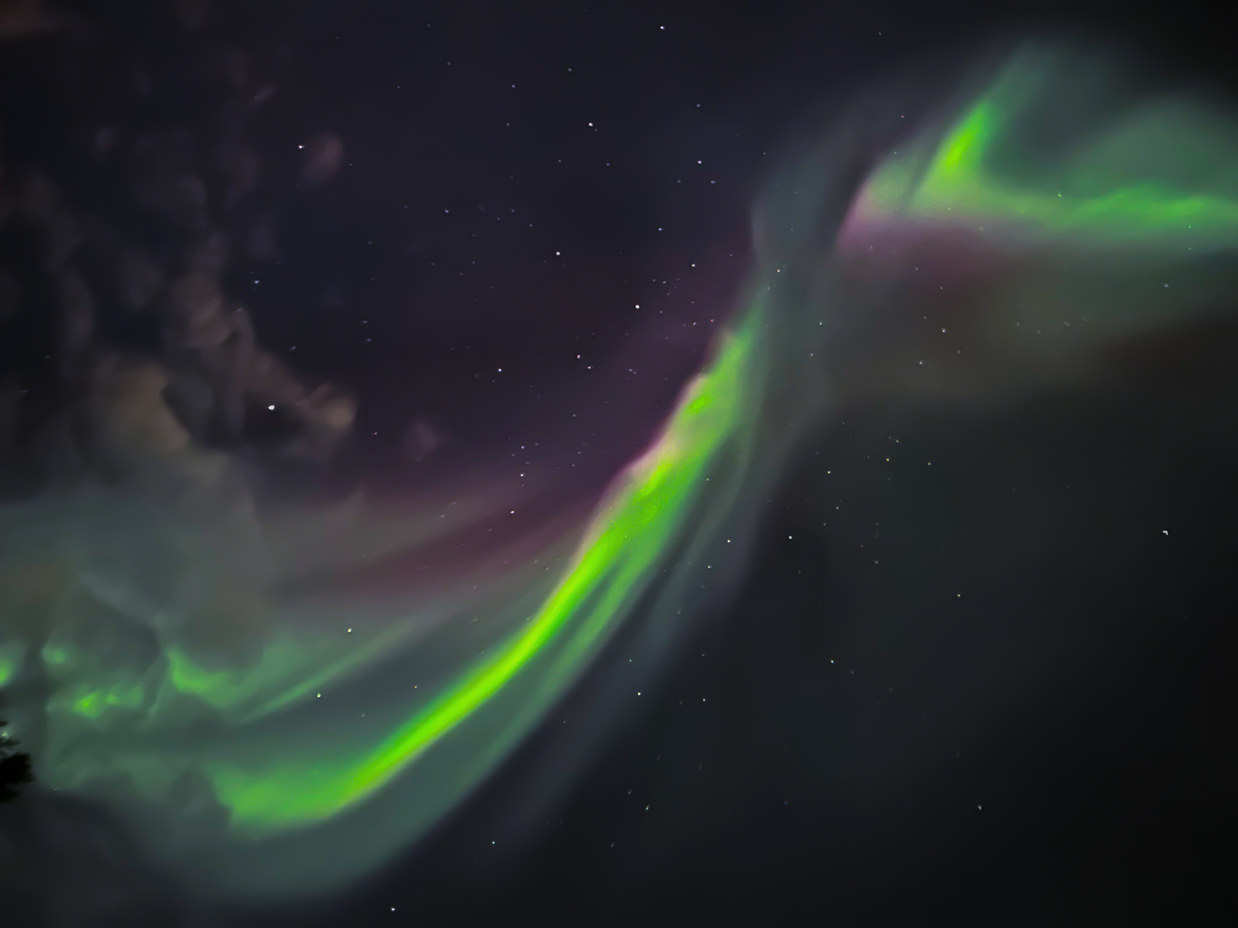 Northern light in Arctic Snowhotel & Glass Igloos